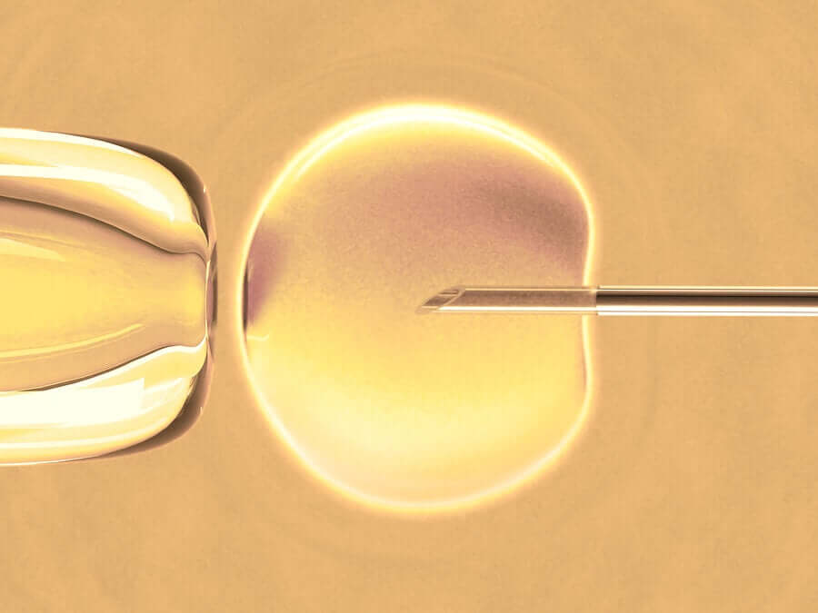 Wissenswertes über die In-vitro-Fertilisation
