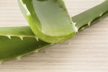 Aloe vera bei Hitzeausschlag