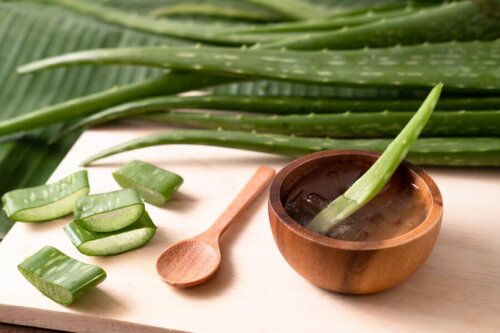 Wespenstiche mit Aloe vera behandeln