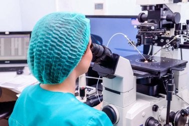 In-vitro-Fertilisation