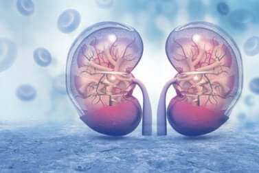 Wie wirkt sich COVID-19 auf die Nieren aus: Wissenschaftliche Studien