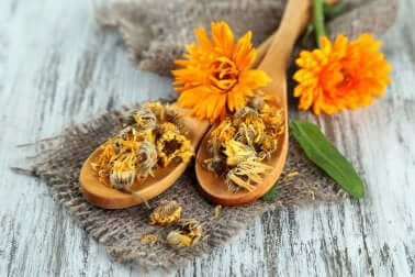 Ringelblume gegen Hitzeausschlag