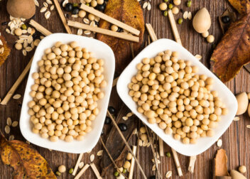 Sojaprotein: Gesund oder doch nicht?