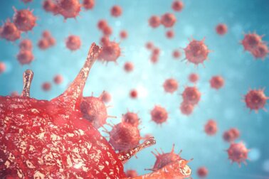 Wie reagiert das Immunsystem auf Viren?