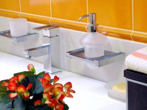 Begonien sollten in deinem Badezimmer nicht fehlen