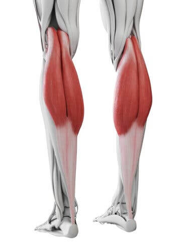 Darstellung der Wadenmuskeln