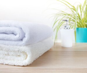 Pflanzen, die in deinem Badezimmer nicht fehlen sollten