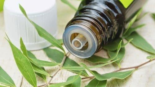 ätherische Öle gegen Sinusitis