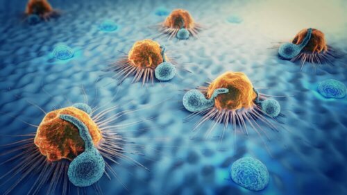 Ursachen für Hypoparathyreoidismus