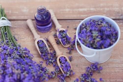 Entspannung mit Lavendel: 5 Tipps