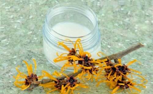 Hamamelis gegen Juckreiz