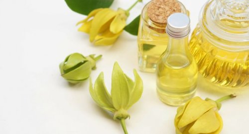 Ätherisches Ylang Ylang Öl gegen Angst