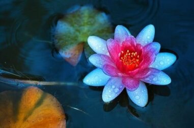 Erlaube dir diese 5 Dinge, wenn dich jemand schlecht behandelt