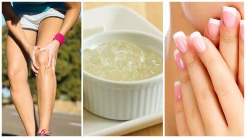 Farblose Gelatine: 11 Vorzüge, die du kennen solltest