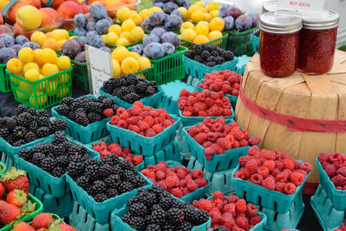 Nachhaltige Ernährung: Obst darf nicht fehlen!