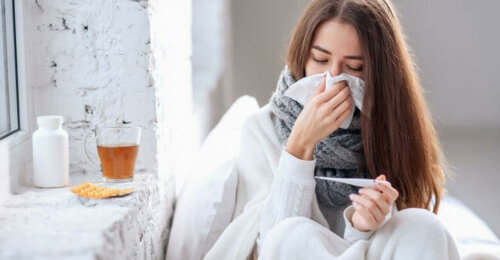 Holunder bei Grippe