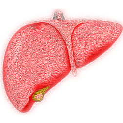 Welt-Hepatitis-Tag: Diese Krankheit ist vermeidbar