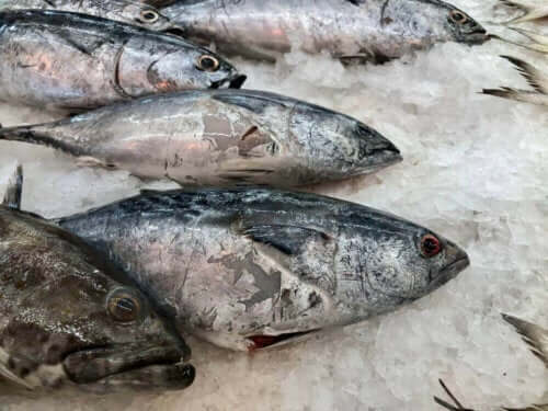 heruntergefallene Lebensmittel - gefrorener Fisch