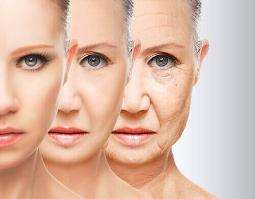 mit Kollagen - Alterungsprozess der Haut