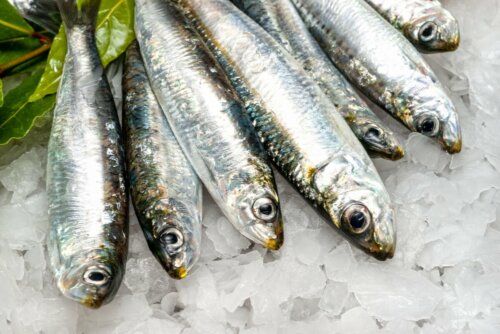 Sardinen