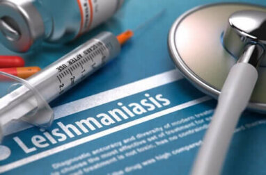 Ist Leishmaniose ansteckend?