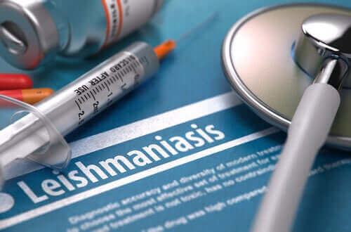 Ist Leishmaniose ansteckend?