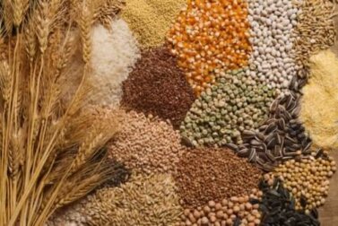 Drei Tipps, wie du Samen in deine Ernährung integrieren kannst