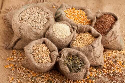 Samen in deine Ernährung - verschiedene Samen