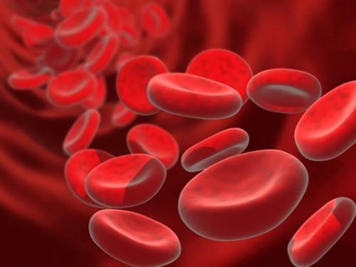 anämisch - rote Blutzellen