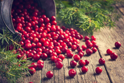 Lebensdauer - Cranberries