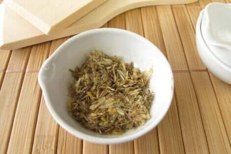 Die Verwendung der Pflanze reicht bis in die Antike zurück