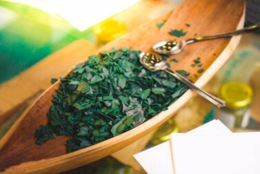 Gefahren und Gegenanzeigen von Spirulina