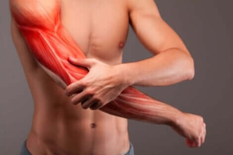 Sarkopenie führt zu einer fortschreitenden Zerstörung der Muskeln