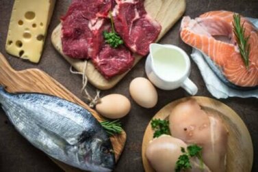 Warum ist die Proteinzufuhr so wichtig?