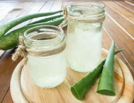 Aloe Vera verursacht Gebärmutterblutungen