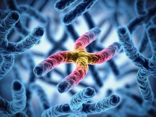 Farbenblindheit - Chromosomen