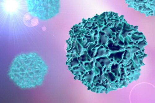 Polio-Impfung - Poliovirus