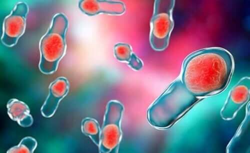 Durchfall Bei Einnahme Von Antibiotika