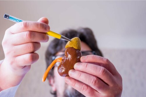 Cortisol und Nebennieren