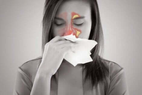 Die Sinusitis ist eine Entzündung der Nasennebenhöhlen