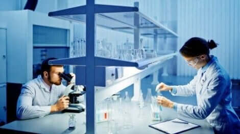 Australische Forscher fanden ein Protein zur Minderung von Hirnschäden