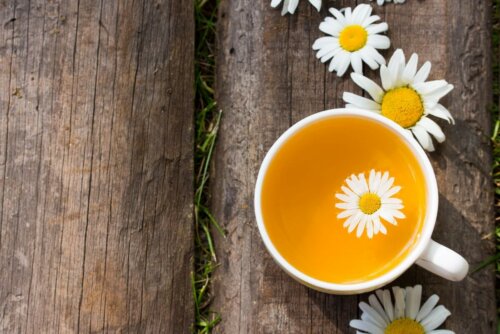 Kamille Tasse Blumen