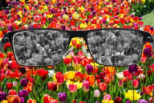 Arten von Farbenblindheit Brille