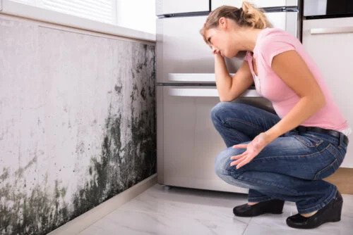 Verursacht Schimmel zu Hause gesundheitliche Probleme?