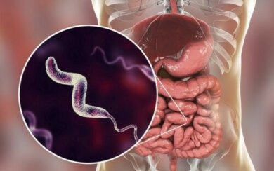 Campylobacter-Infektionen: Alles, was du darüber wissen solltest