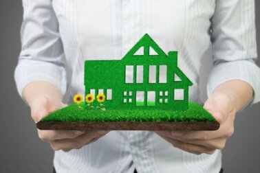 Ein nachhaltiges Zuhause: 12 Empfehlungen