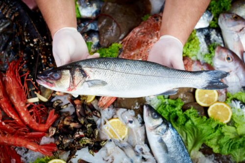 frischer Fisch