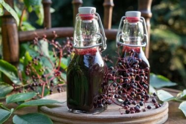 Holundersirup: Vorteile, Zubereitung und Anwendung