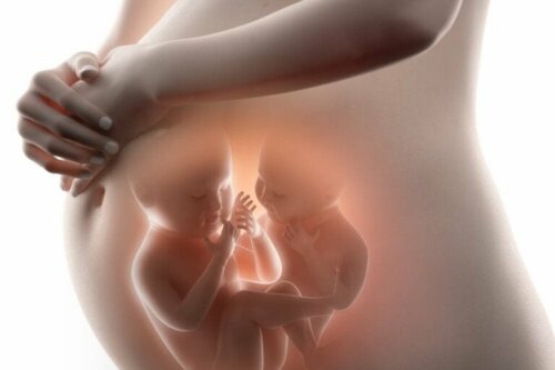 Fetus in Fetu: Wissenswertes über die fetale Inklusion
