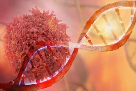 Genetische Mutationen führen dazu, dass sich Zellen unkontrolliert vermehren